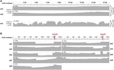 Nanopore long-read next-generation sequencing for detection of mitochondrial DNA large-scale deletions